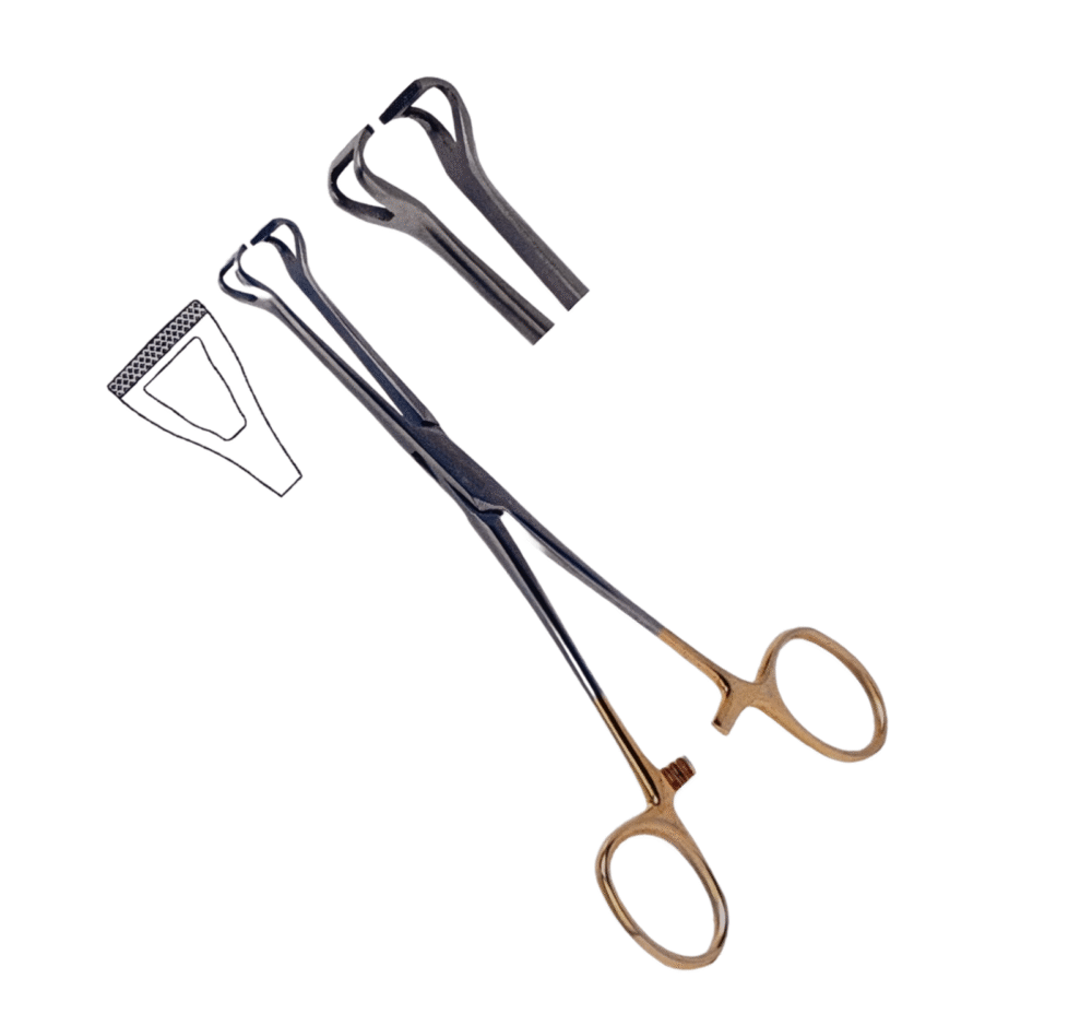 Babcock Tissue Forceps With Tungsten Carbide Jaws
