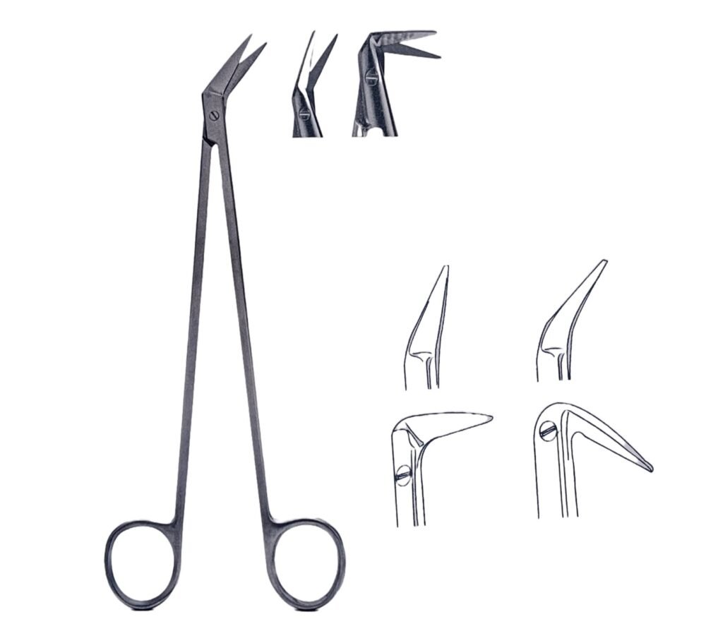 Dietrich Potts s.s. Scissor (7" Inch / 18 CM)
