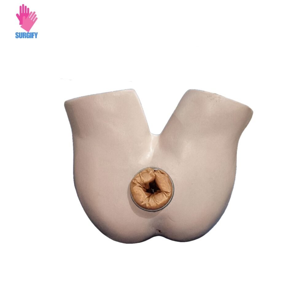 Doctor Kodwani's Mannequin for Chivate's Hemorrhoidopexy Method Training