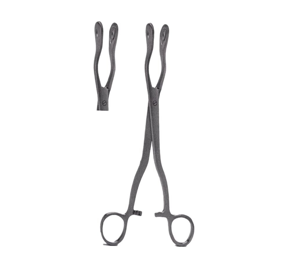 Piles Holding Forceps
